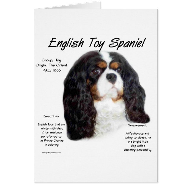 Prince Charles English Toy Histoire espagnole (Devant)