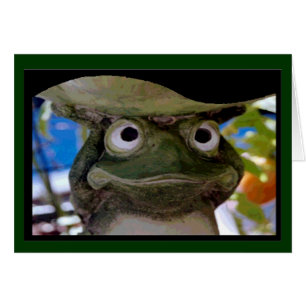 Prince de grenouille