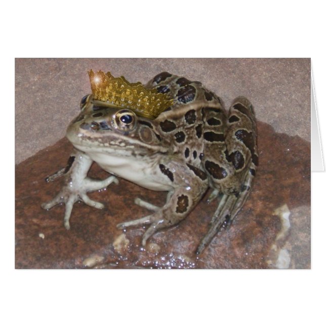 Prince Grenouille (Devant horizontal)