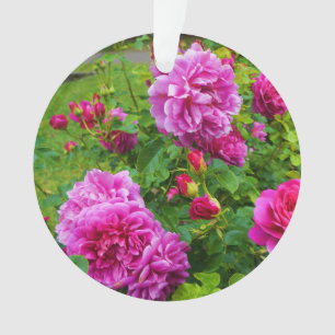 Princesse Anne Rose #2-2 Ornement