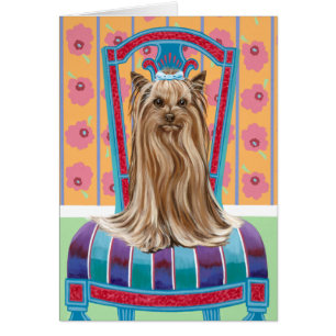 Princesse de la Couronne Yorkie