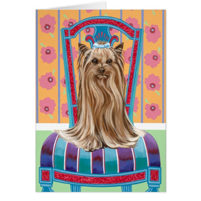 Princesse de la Couronne Yorkie (Devant)