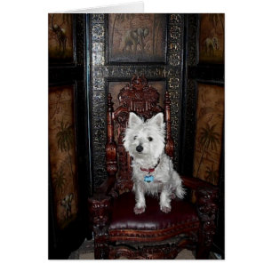 Princesse Sugar Card