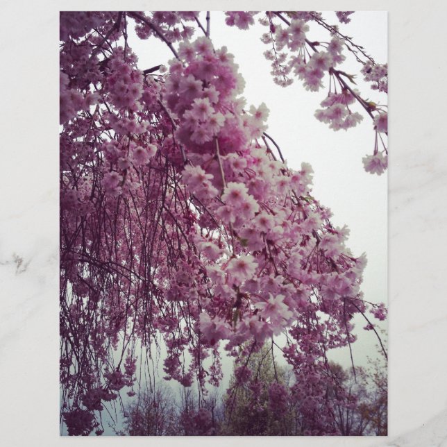 Printemps (Devant)