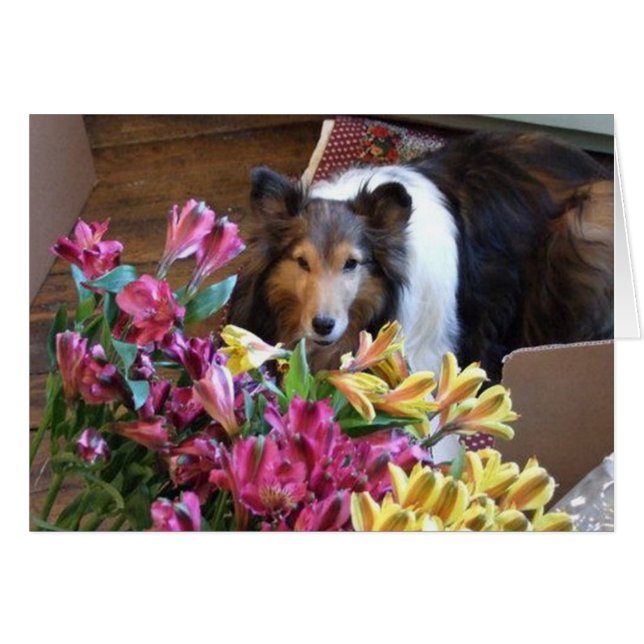 Printemps (Devant horizontal)