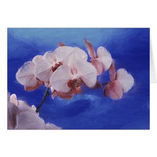 Printemps des orchidées