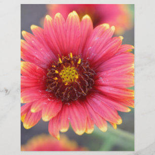 Printemps en fleurs