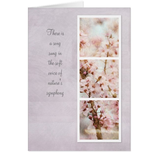 Printemps Romance Fleurs de cerisiers (Devant)