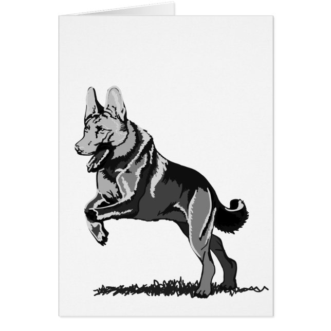 Printemps Schäferhund (Devant)
