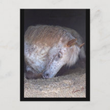 Prise de carte postale facile