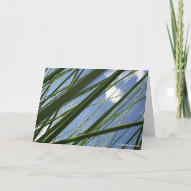 Prisme d'herbe - carte pour notes (Devant)