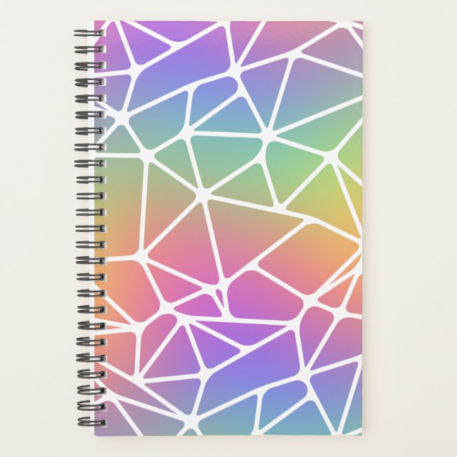 prisme synapse net - toile arc-en-ciel : (Devant)