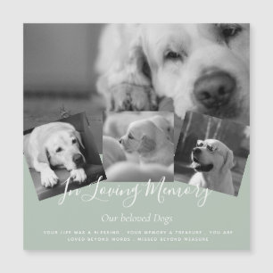 Prix les plus bas ! 35 PHOTOS Collage Texte person