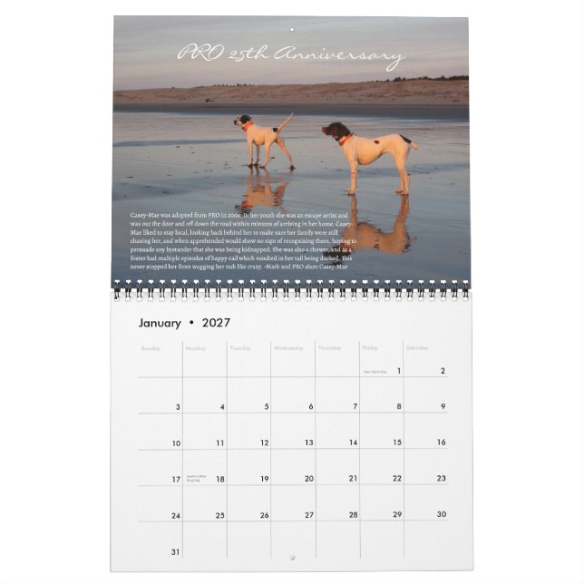 PRO 2025 Calendrier du 25e anniversaire (Jan 2027)