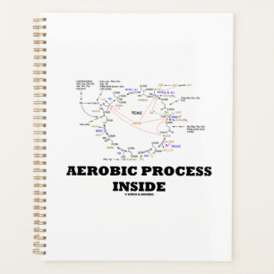Processus aérobie à l'intérieur de l'humour geek d
