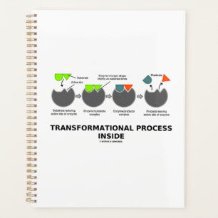 Processus transformationnel à l'intérieur du sous-