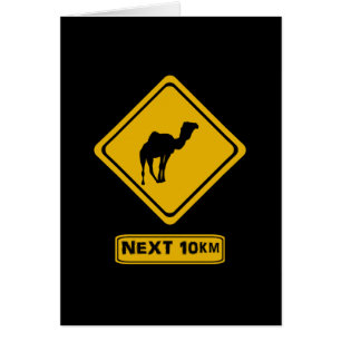 prochain chameaux de 10 km