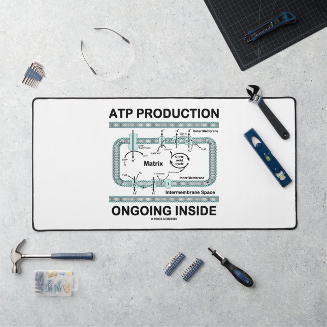 Production d'ATP en cours à l'intérieur de la mito (Poste de travail)