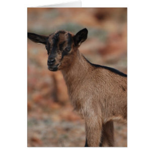 Produit de personnaliser