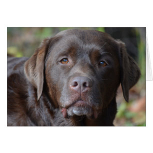 Produit de personnaliser