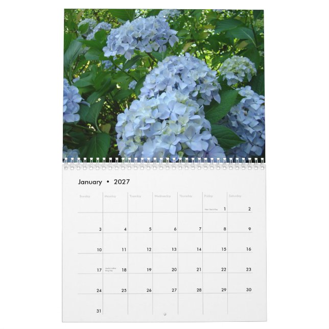 Professeur de calendrier de fougères de roses (Jan 2027)