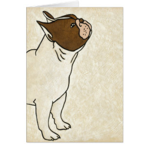Profil de bouledogue français recherchant
