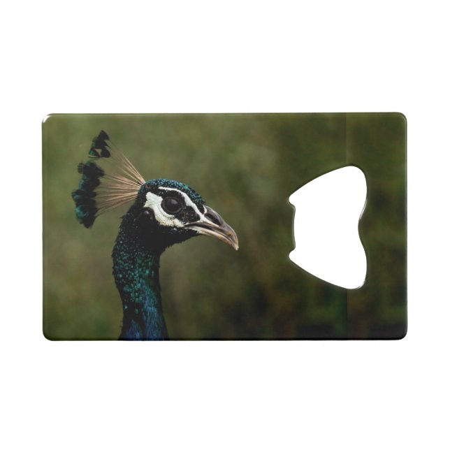 Profil de Peacock (Devant (Horizontal))