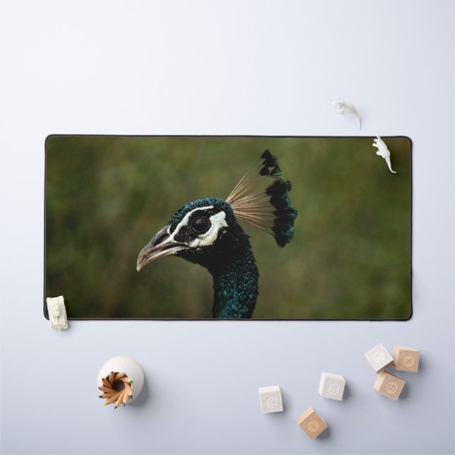 Profil de Peacock (Tableau pour enfants)