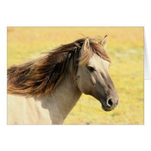 Profil du cheval beige
