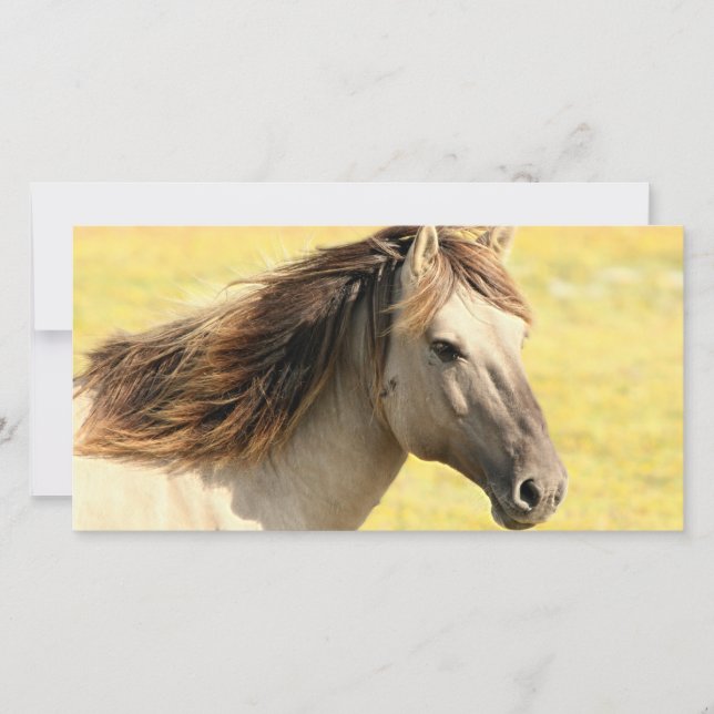 Profil du cheval beige (Devant)