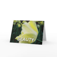 Profil d'une Fleur Jaune - Carte de beauté