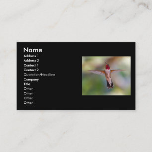 profil ou carte de visite, colibri