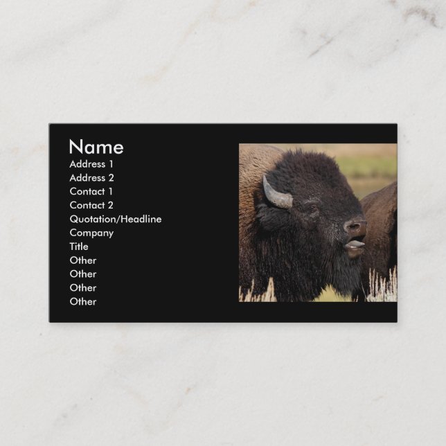 profil ou carte de visite, grognement de bison (Devant)