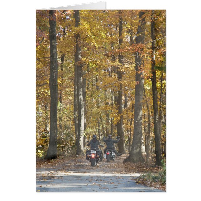 Profitez de la balade ! (Devant)