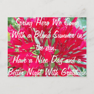 Profitez d'un été agréable sur la carte Sun Post