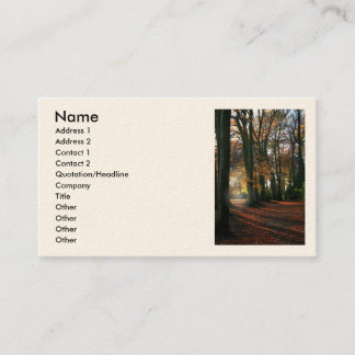 Profondément dans les cartes d'affaires/profil de