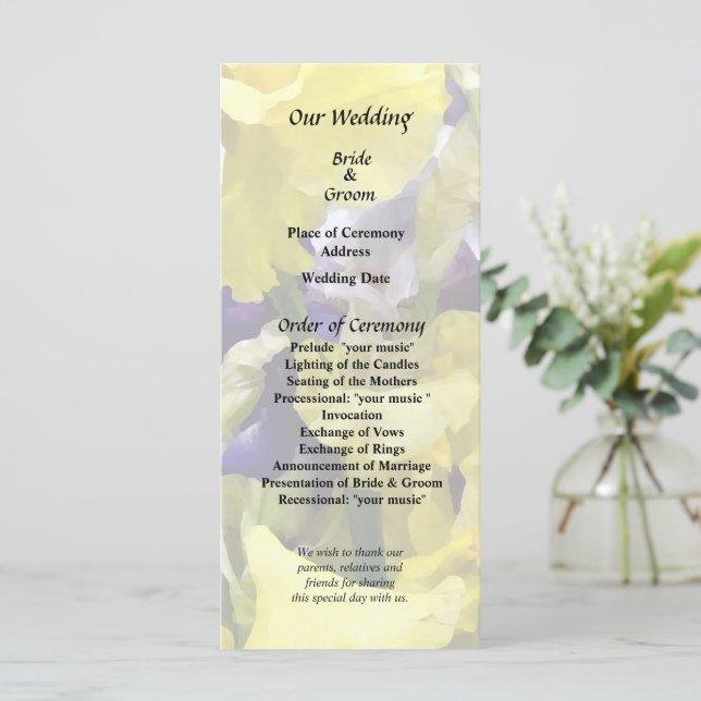Programme Assortiment d'iris jaunes et violets (Debout devant)