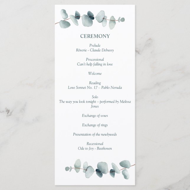 Programme Branche d'eucalyptus minimale moderne simple (Devant)