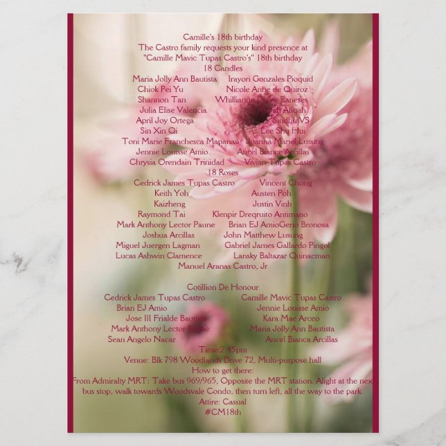 PROGRAMME CAMILLE 18E (Devant)