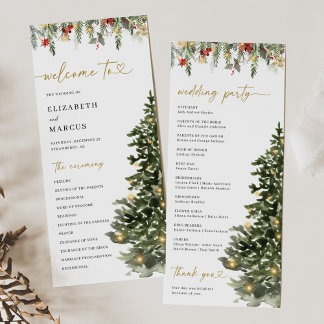 Programme Christmas Tree Lights Pine Winter Wedding Program