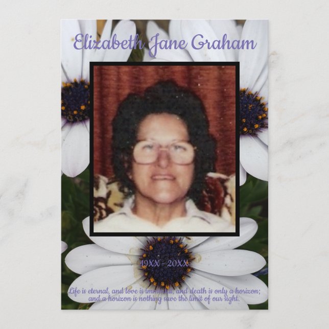 Programme Citer la photo African Daisies Arrière - plan Fune (Devant)