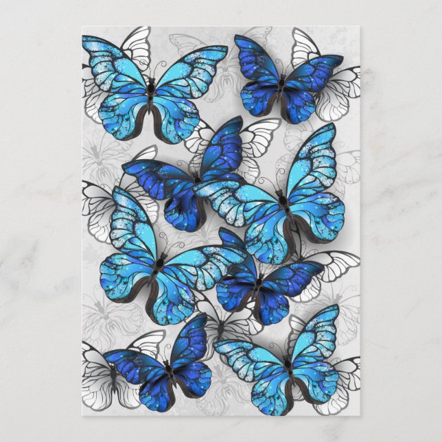 Programme Composition des White and Blue Butterflies (Devant)