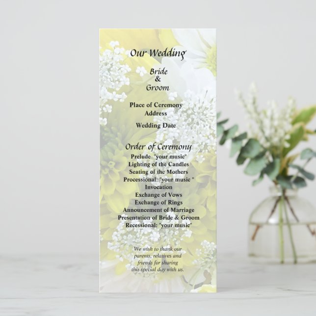 Programme Daisies, mamans et bouquet de dentelle de la reine (Debout devant)