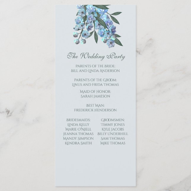 Programme de Delphinium Floral Bleu (Dos)