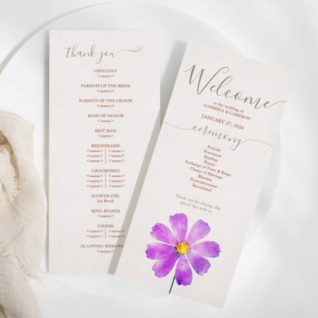 Programme de mariage aux fleurs de marguerite aqua (Créateur téléchargé)