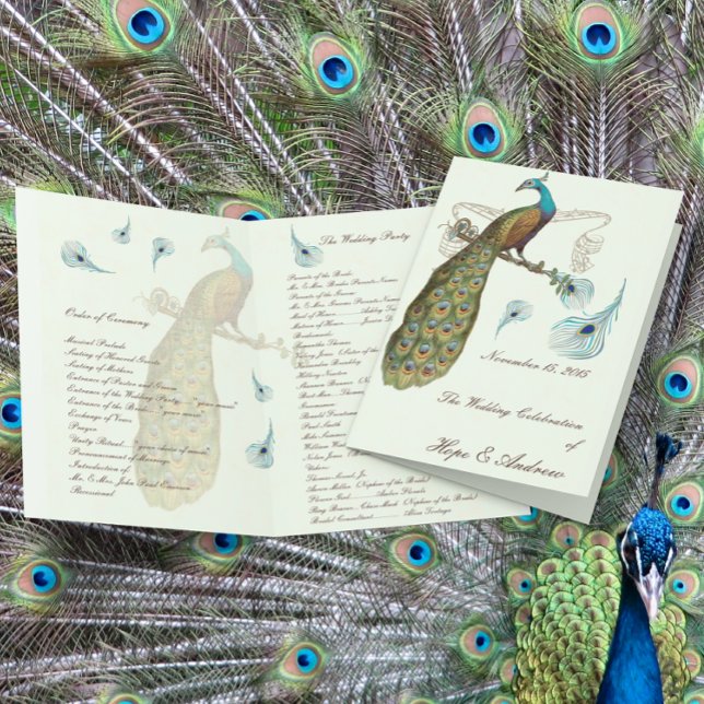 Programme de mariage aux plumes de paon (Créateur téléchargé)