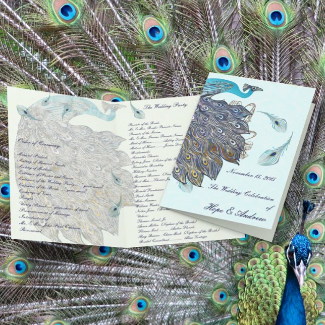 Programme de mariage aux plumes de paon fantaisist (Créateur téléchargé)
