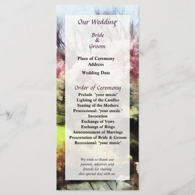 Programme de mariage du printemps japonais (Devant)