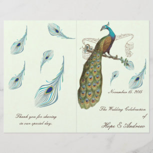 Programme de mariage Peacock Feathers