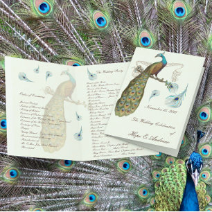 Programme de mariage Peacock Feathers